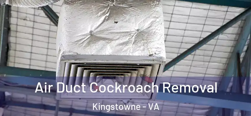  Air Duct Cockroach Removal Kingstowne - VA