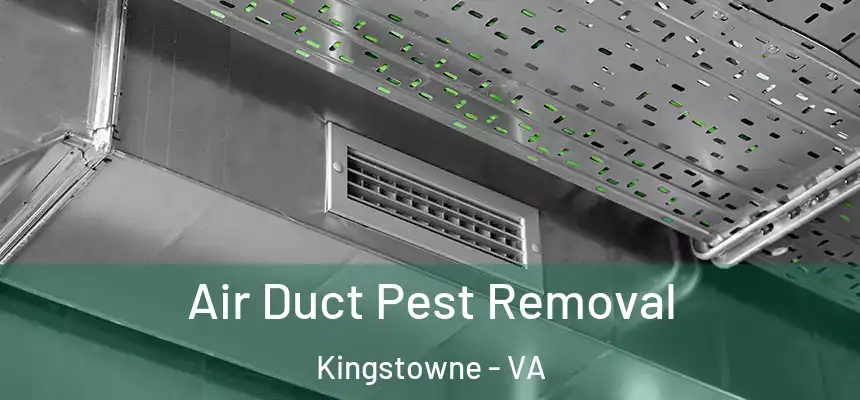 Air Duct Pest Removal Kingstowne - VA