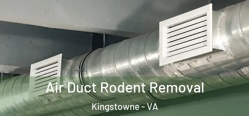  Air Duct Rodent Removal Kingstowne - VA