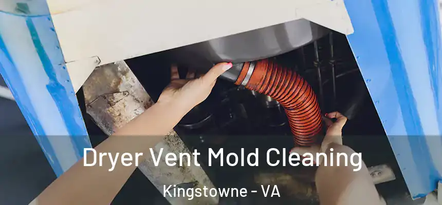  Dryer Vent Mold Cleaning Kingstowne - VA