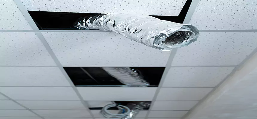 Affordable HVAC Sanitizing After Pest Removal in Kingstowne