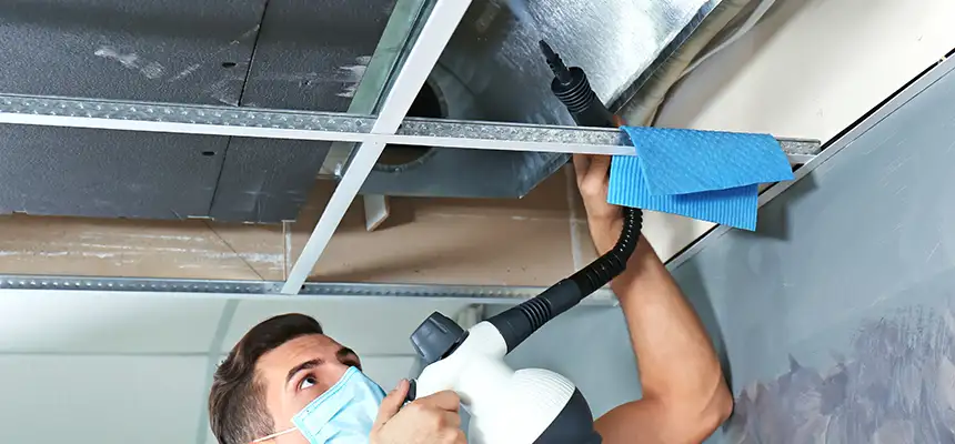 Our Air Duct Rodent Removal Services in Kingstowne, VA