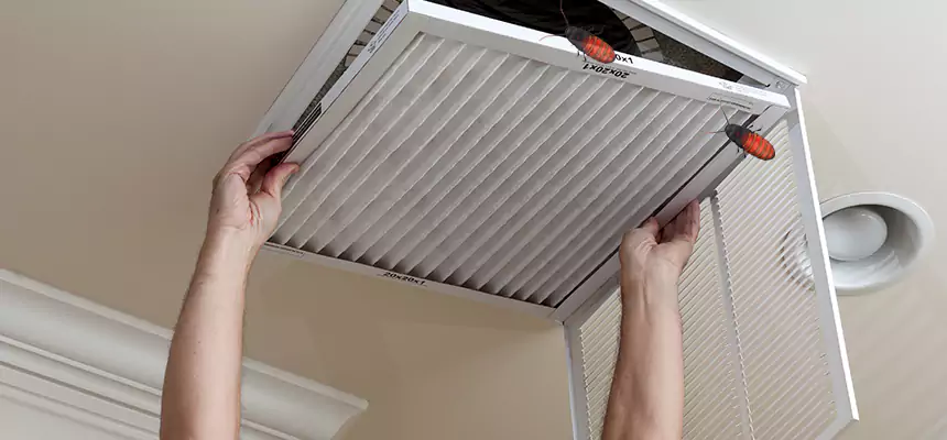 Our Insect Removal from Air Ducts Services in Kingstowne, VA
