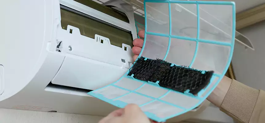 Gentle Ductwork Odor-Control Pet Dander Duct Cleaning in Kingstowne, VA