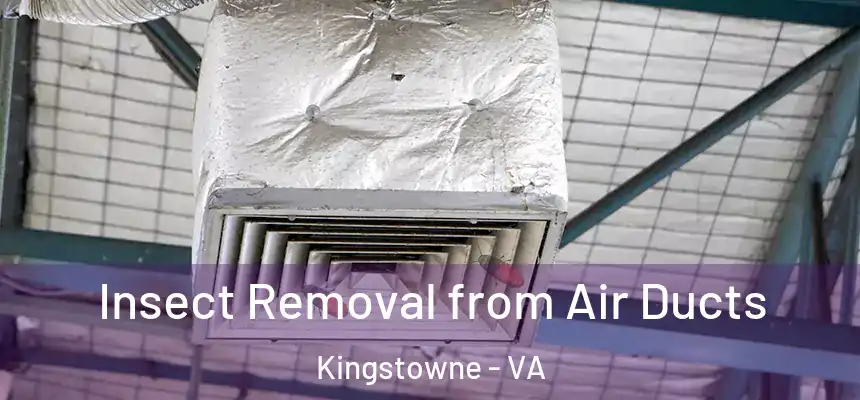  Insect Removal from Air Ducts Kingstowne - VA