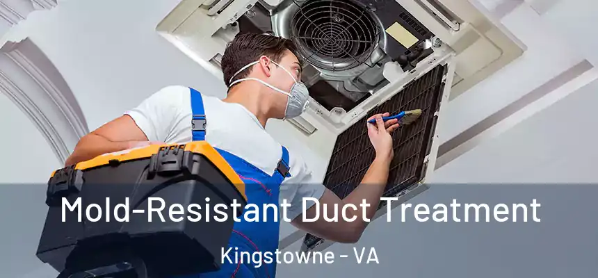  Mold-Resistant Duct Treatment Kingstowne - VA