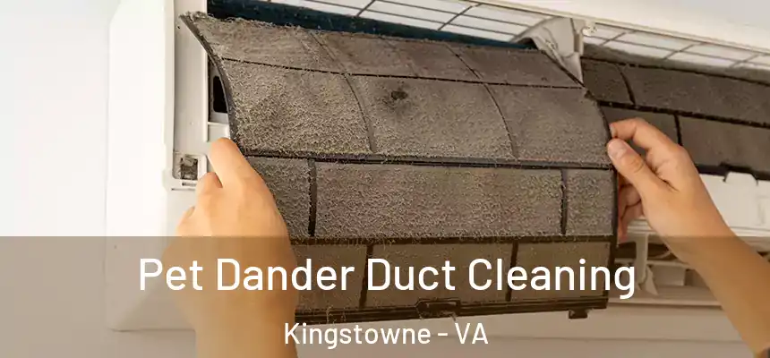  Pet Dander Duct Cleaning Kingstowne - VA