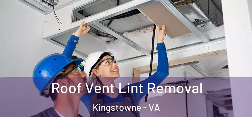  Roof Vent Lint Removal Kingstowne - VA