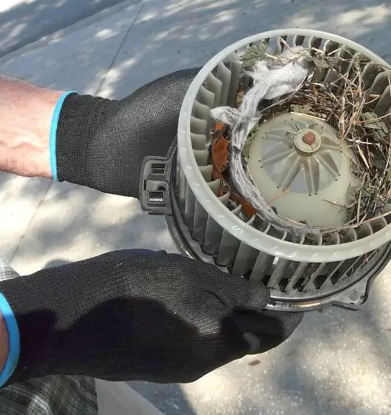 About Air Duct Mice Removal in Kingstowne, VA