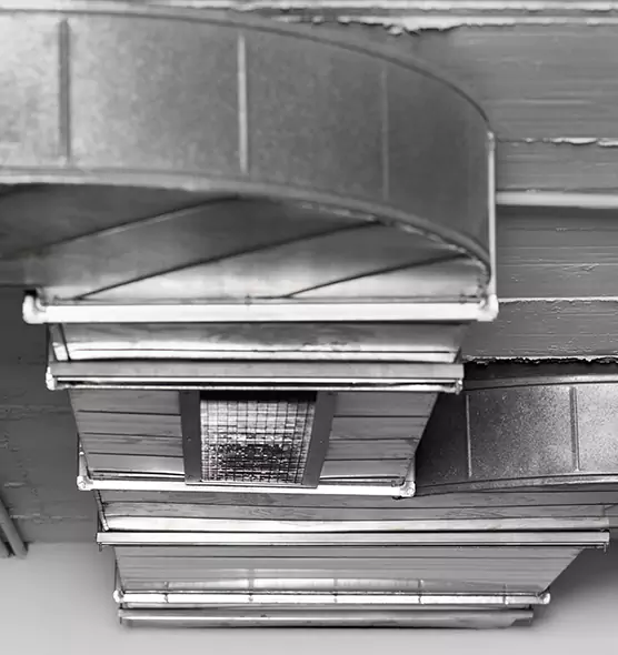 Professional Air Duct Pet Hair Removal in Kingstowne, VA