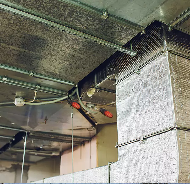 Why Homeowners & Businesses Trust Us in Kingstowne, VA?